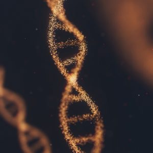 Les questions récurrentes sur les tests ADN
