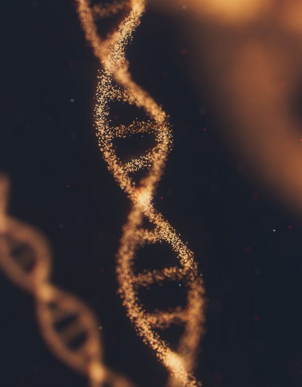 représentation de l'ADN