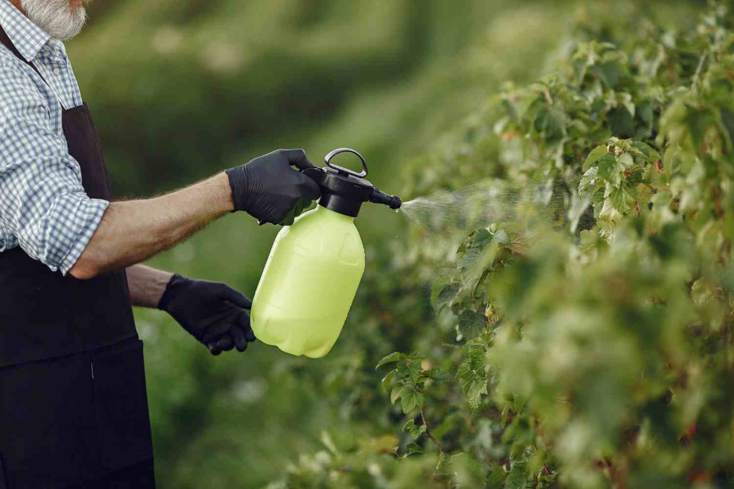 liquide vaisselle dans le désherbant