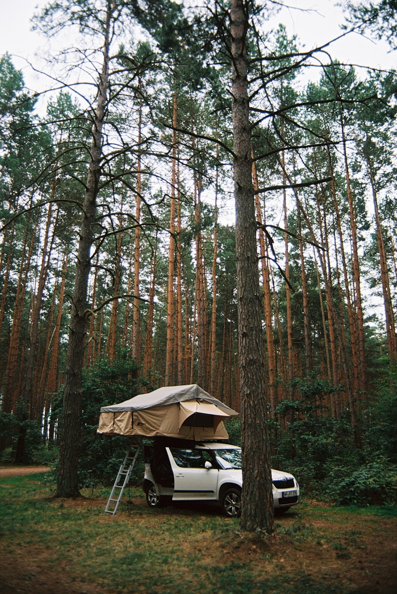 Camping dans la nature